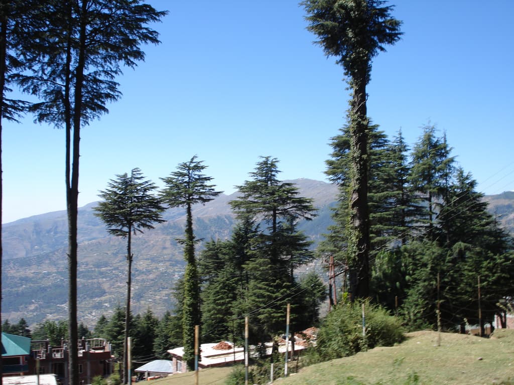 Patnitop hill station, Jammu
